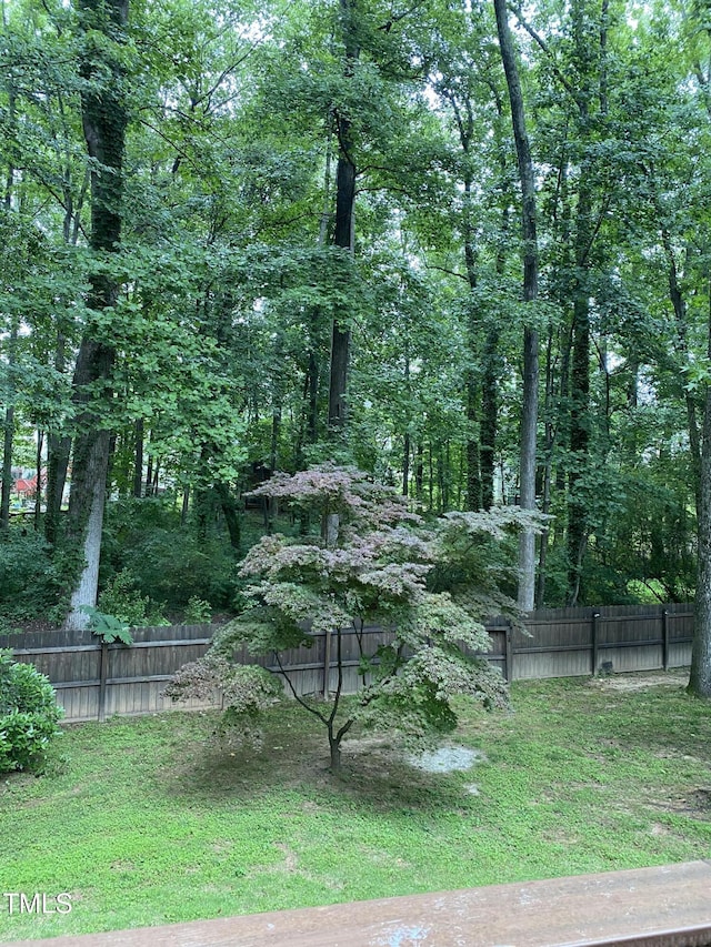 306 Fincastle Dr, Cary, NC 27513 - photo 55