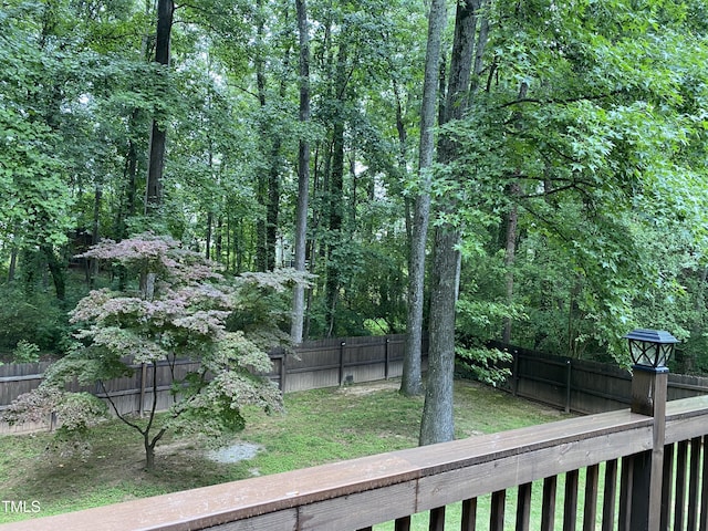 306 Fincastle Dr, Cary, NC 27513 - photo 56