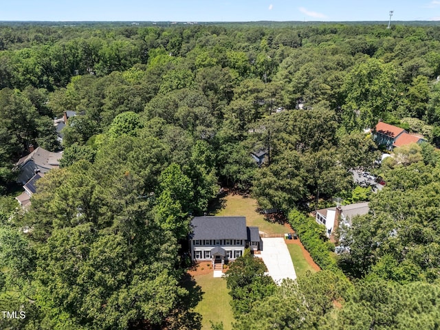 bird's eye view of a forest
