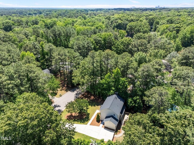 bird's eye view of a forest