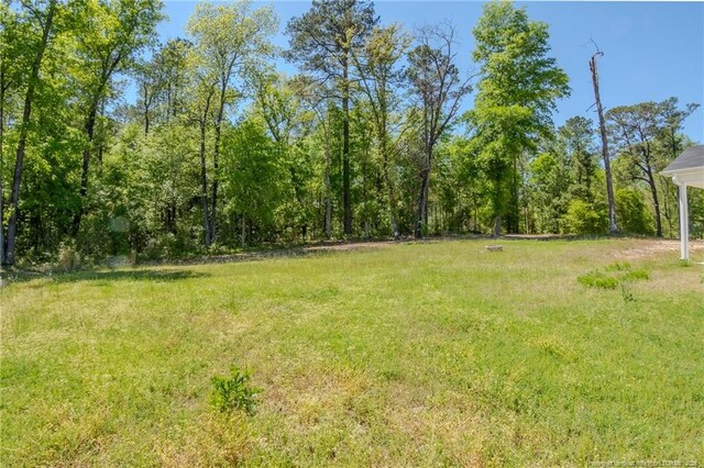 537 Kivett Ct, Fayetteville, NC 28312 - view of yard