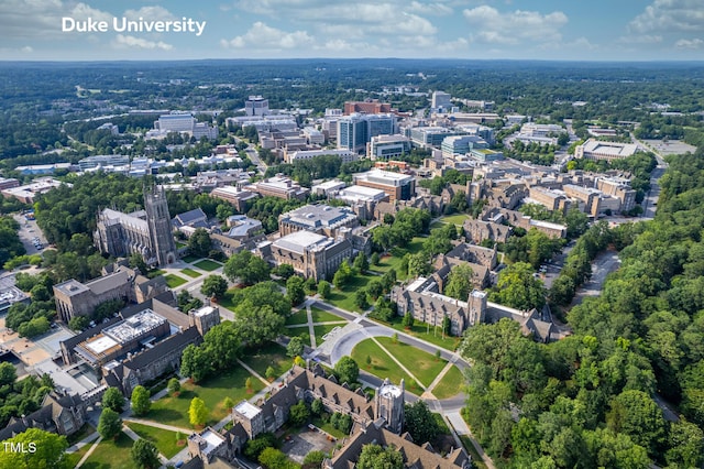 drone / aerial view