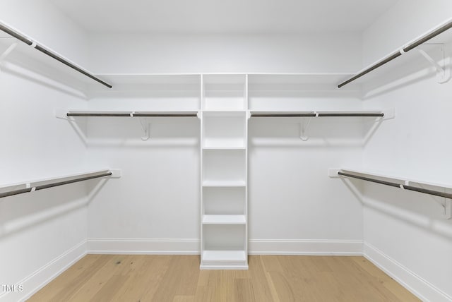 walk in closet with light wood-style flooring