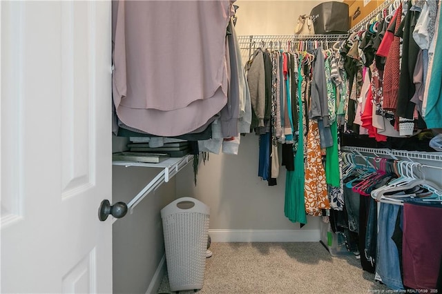 walk in closet featuring carpet