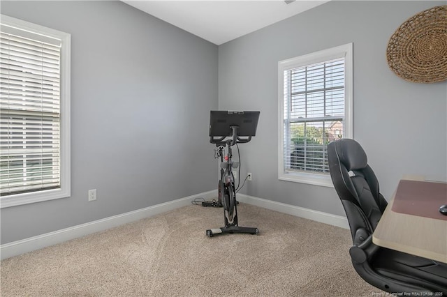 home office featuring carpet flooring and baseboards