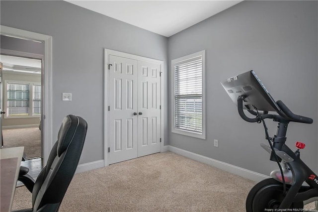 office featuring baseboards and carpet flooring