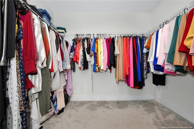 walk in closet featuring carpet flooring