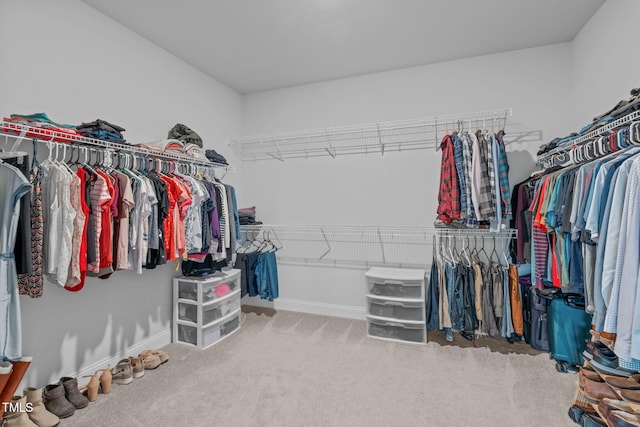 spacious closet featuring carpet flooring