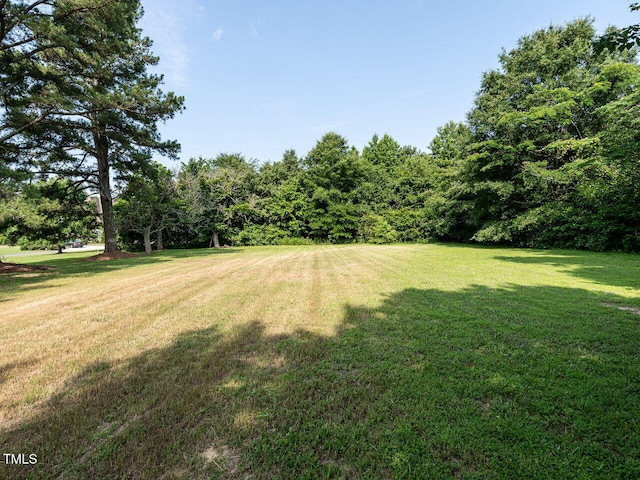 1612 Bethlehem Rd, Knightdale, NC 27545 - view of grassy yard