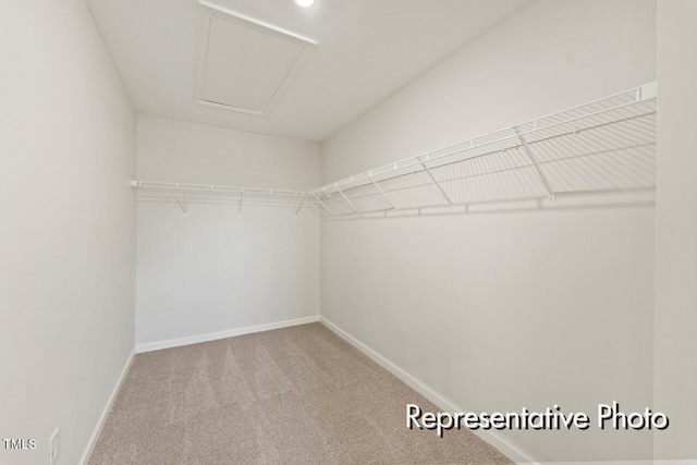 260 Curling Creek Dr Unit 235P, Clayton, NC 27527 - walk in closet with carpet
