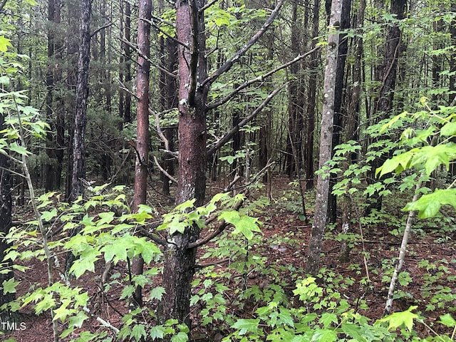 LOT5 Mudlee Dr, Hurdle Mills, NC 27541