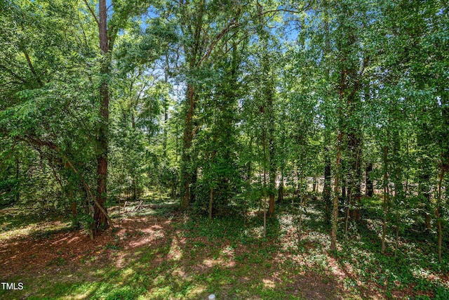 view of wooded area