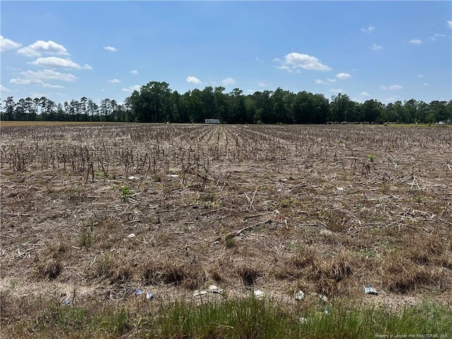 Elrod Rd, Maxton NC, 28364 land for sale
