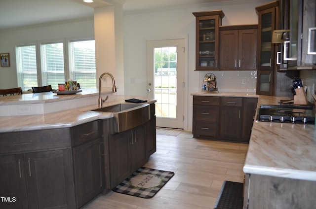 kitchen with light wood-type flooring, crown molding, a sink, and dark brown cabinetry