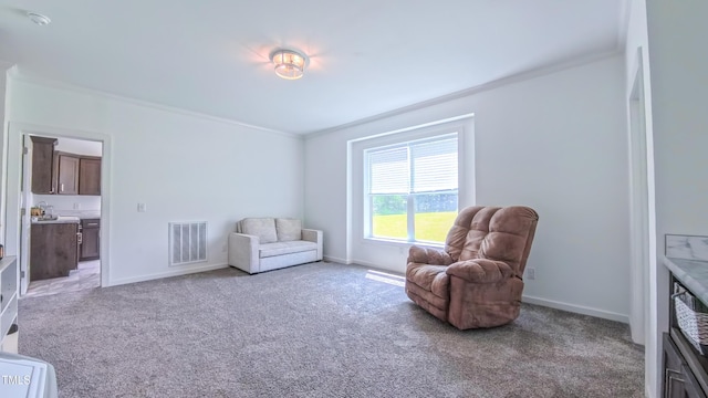 2912 Epps Clark Rd, Siler City, NC 27344 - sitting room featuring ornamental molding, light colored carpet, and baseboards
