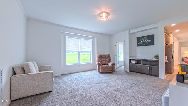 2912 Epps Clark Rd, Siler City, NC 27344 - living area featuring ornamental molding, light colored carpet, and baseboards