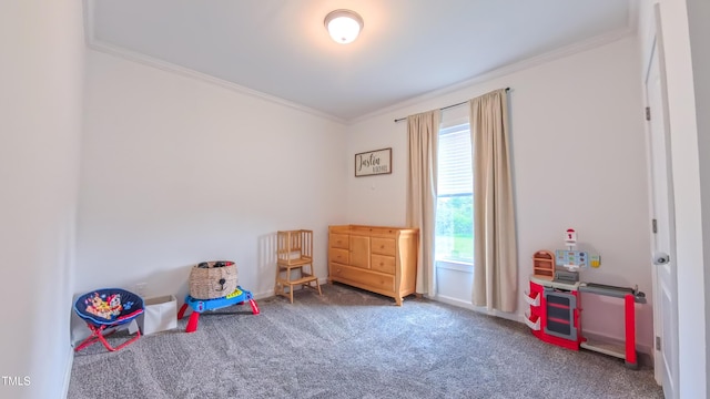 2912 Epps Clark Rd, Siler City, NC 27344 - recreation room with crown molding, plenty of natural light, carpet flooring, and baseboards