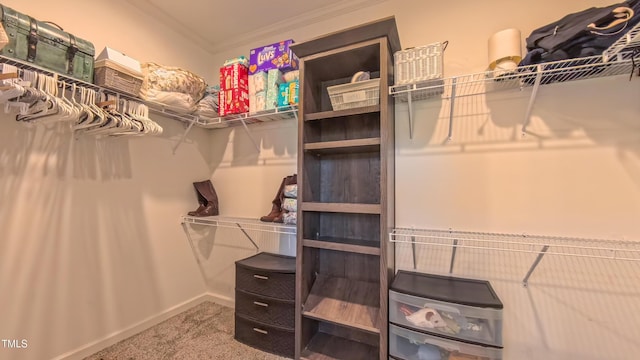 2912 Epps Clark Rd, Siler City, NC 27344 - spacious closet featuring carpet floors