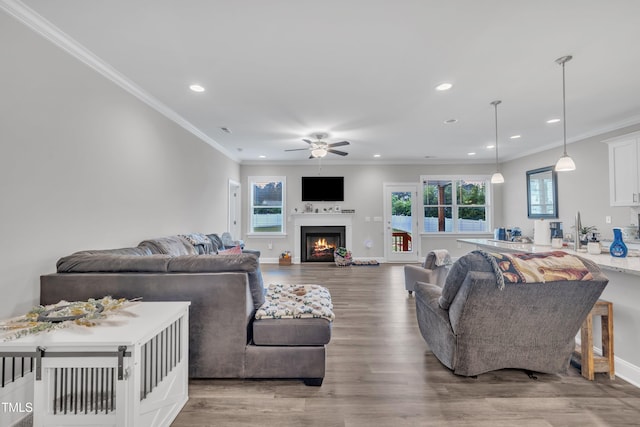 9 Little Sunshine Brk, Smithfield, NC 27577 - living area with a ceiling fan, recessed lighting, wood finished floors, ornamental molding, and a warm lit fireplace
