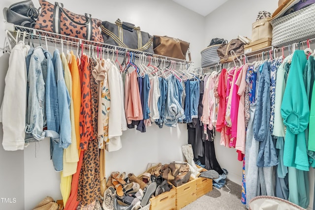 9 Little Sunshine Brk, Smithfield, NC 27577 - spacious closet with carpet flooring