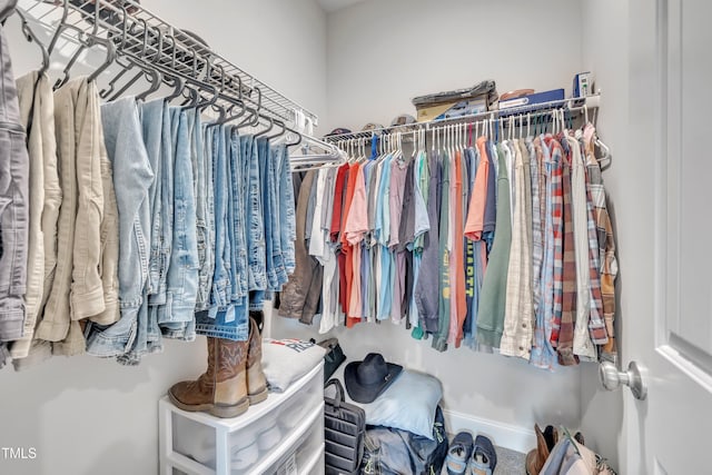 9 Little Sunshine Brk, Smithfield, NC 27577 - view of walk in closet