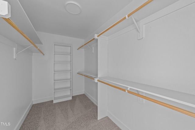 walk in closet with light carpet