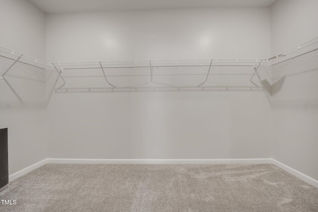 712 Emmer St, Rolesville, NC 27571 - spacious closet with carpet flooring