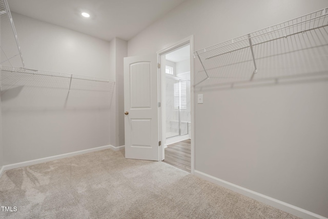 712 Emmer St, Rolesville, NC 27571 - spacious closet with carpet floors