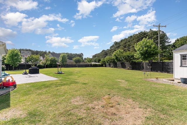 view of yard featuring a patio area