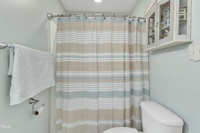 296 Shoreline Dr, Princeton, NC 27569 - full bath featuring toilet and curtained shower