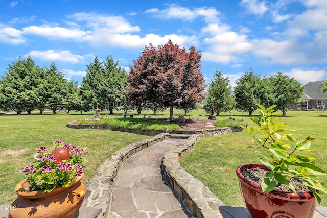 296 Shoreline Dr, Princeton, NC 27569 - view of yard
