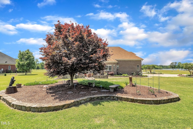 296 Shoreline Dr, Princeton, NC 27569 - view of yard