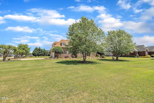 296 Shoreline Dr, Princeton, NC 27569 - view of yard
