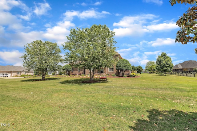 296 Shoreline Dr, Princeton, NC 27569 - view of yard