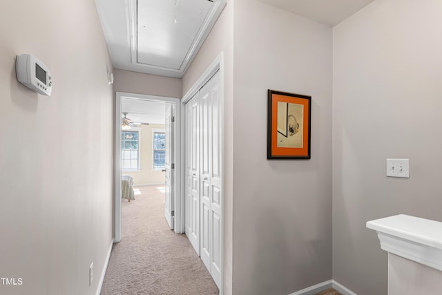 hall featuring attic access, light carpet, and baseboards