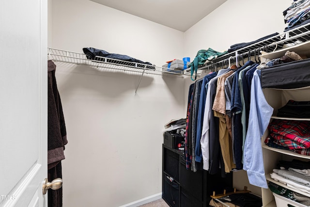 walk in closet featuring carpet floors