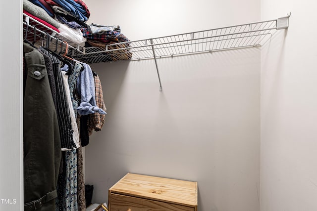 view of walk in closet