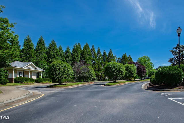 view of asphalt street featuring street lighting, curbs, and sidewalks