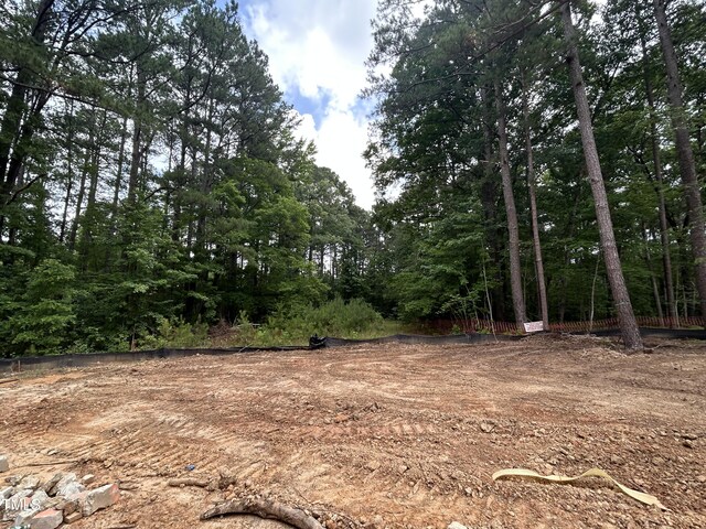 194 Landon Rdg, Sanford, NC 27330 - photo 22