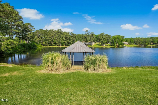 1415 Clearwater Dr, Sanford, NC 27330 - photo 32