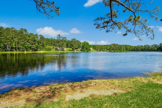 1415 Clearwater Dr, Sanford, NC 27330 - photo 35