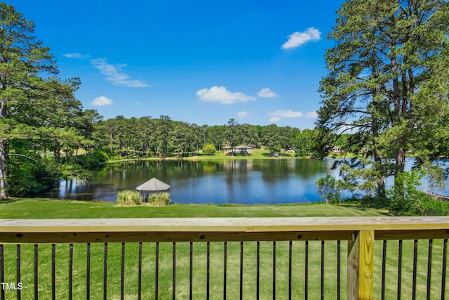 1415 Clearwater Dr, Sanford, NC 27330 - photo 28