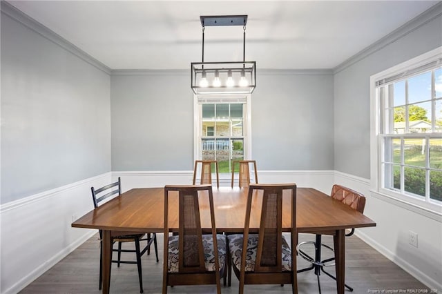 dining room with a wainscoted wall, ornamental molding, a wealth of natural light, and dark wood-style floors