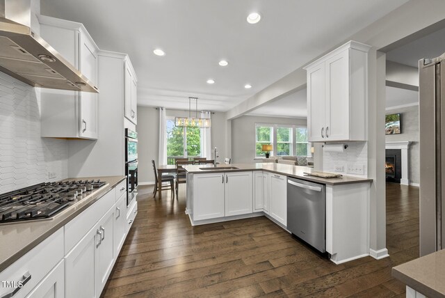 kitchen with appliances with stainless steel finishes, wall chimney range hood, a sink, recessed lighting, and dark wood finished floors
