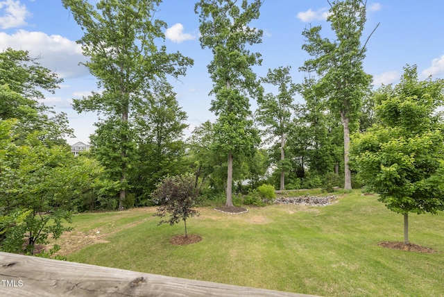 view of grassy yard