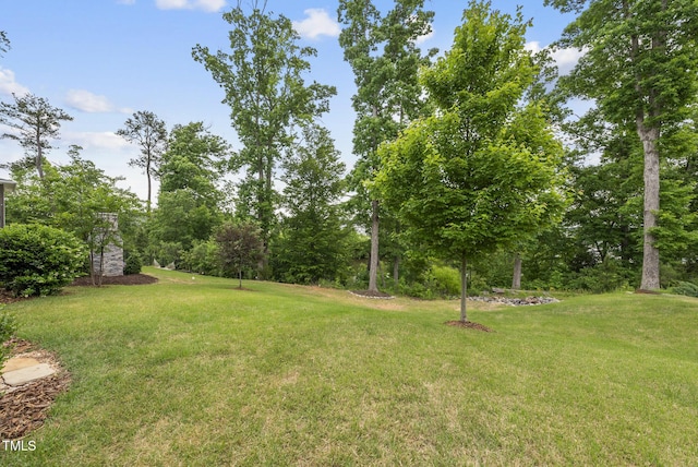 view of green lawn featuring view of scattered trees