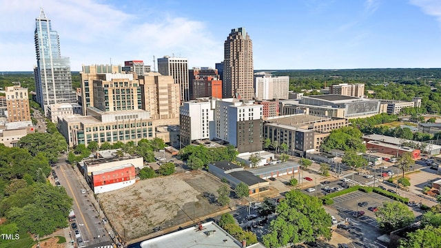 320 W Martin St Unit 205, Raleigh, NC 27601 - city view