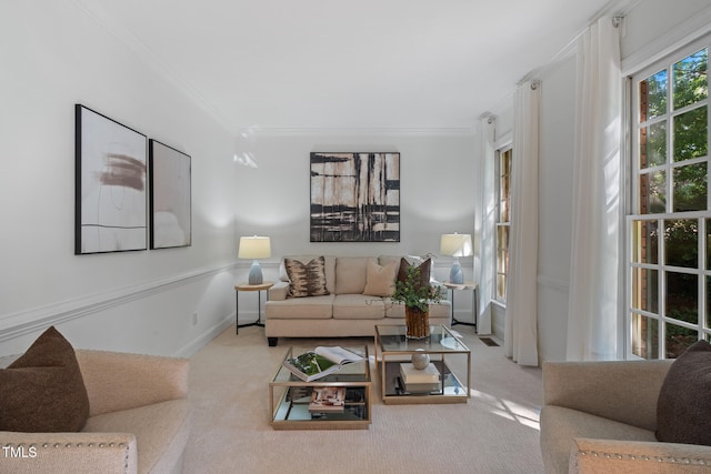 living area featuring carpet flooring and ornamental molding