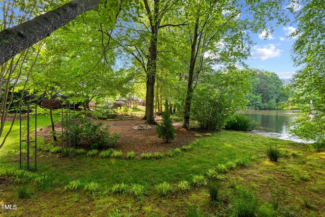 view of yard featuring a water view