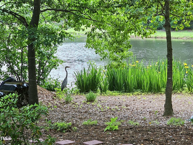 water view
